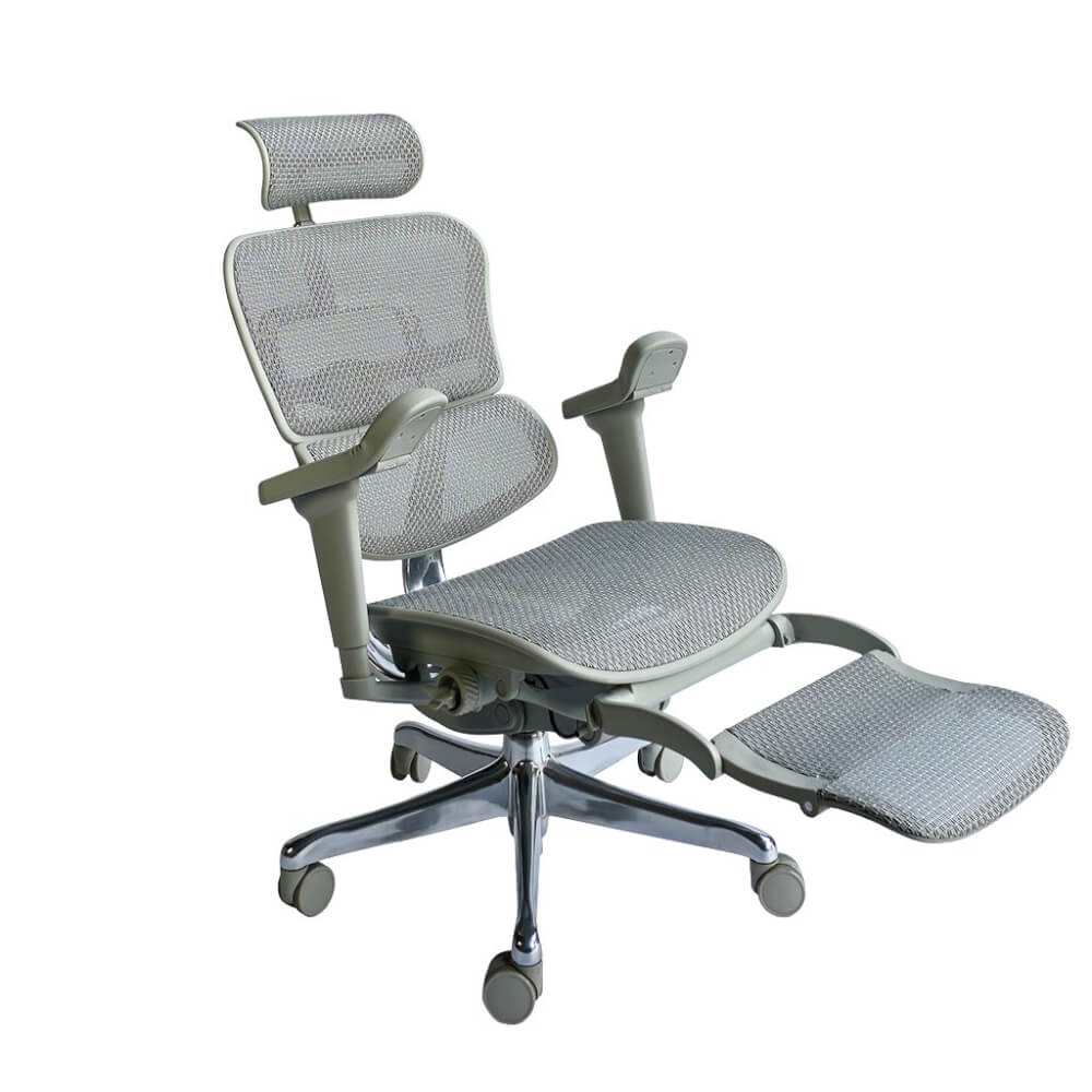 เก้าอี้เพื่อสุขภาพ DF PROCHAIR รุ่น Ergo Elite Ultra Plus สีเทา
